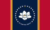  flag